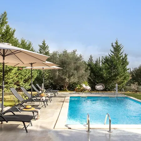 Eleonas Luxury Homes *